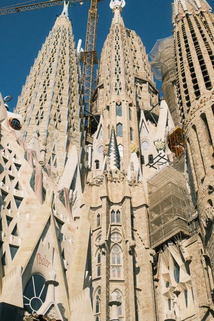 Vertical shot of the iconic Sagrada Familia towers under construction in Barcelona, Spain.