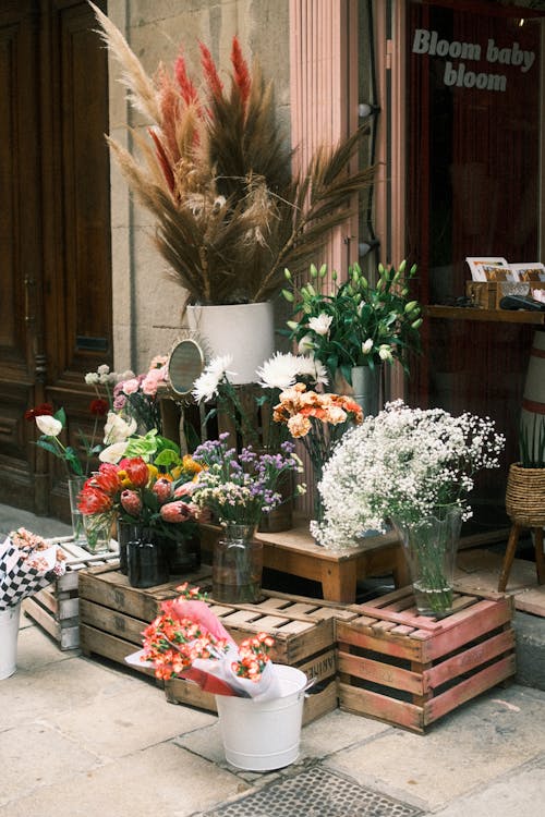 Kostnadsfri bild av affär, arkitektur, blomma