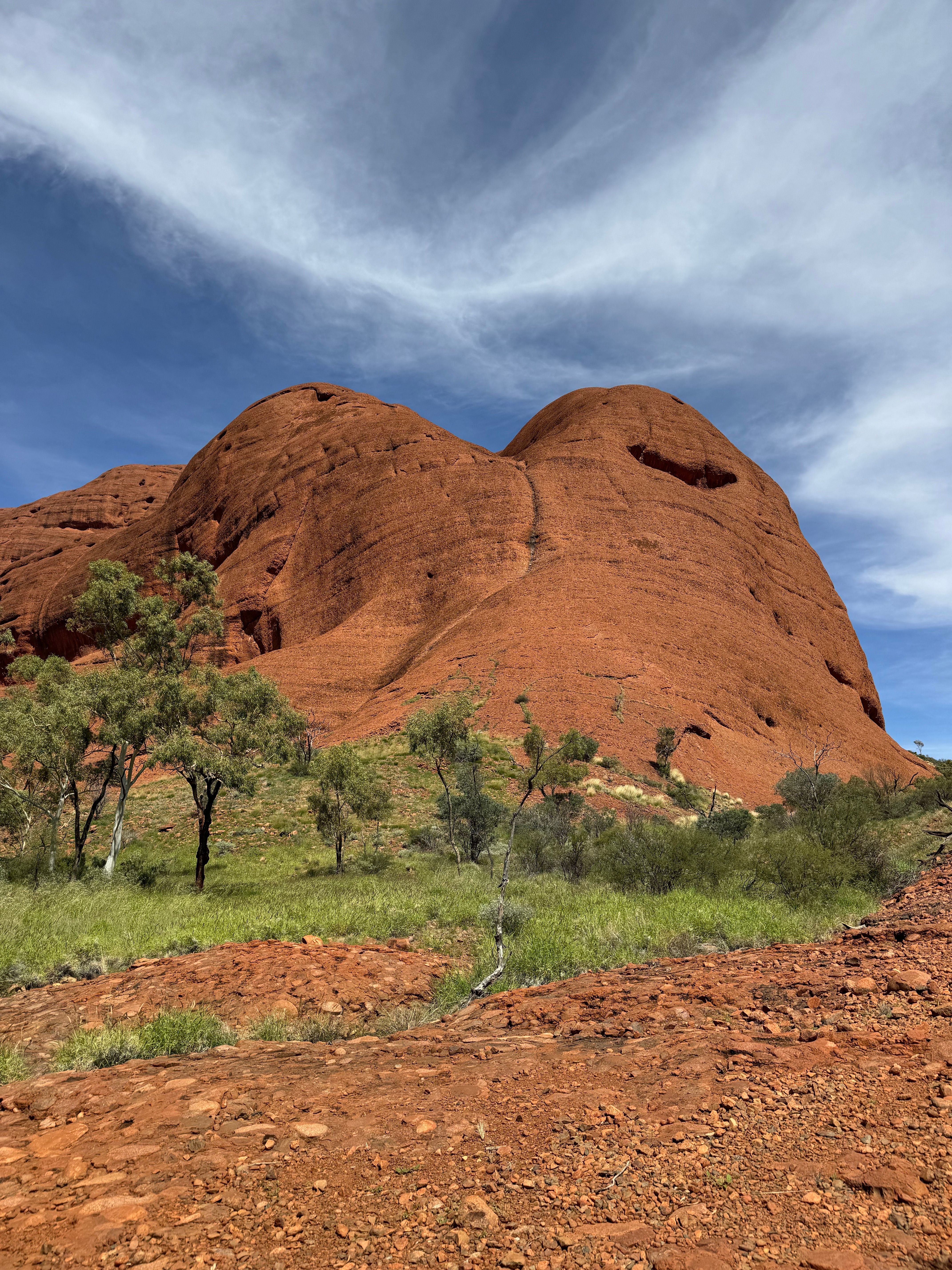 Stunning view of red rock formations and green vegetation under a clear blue sky.