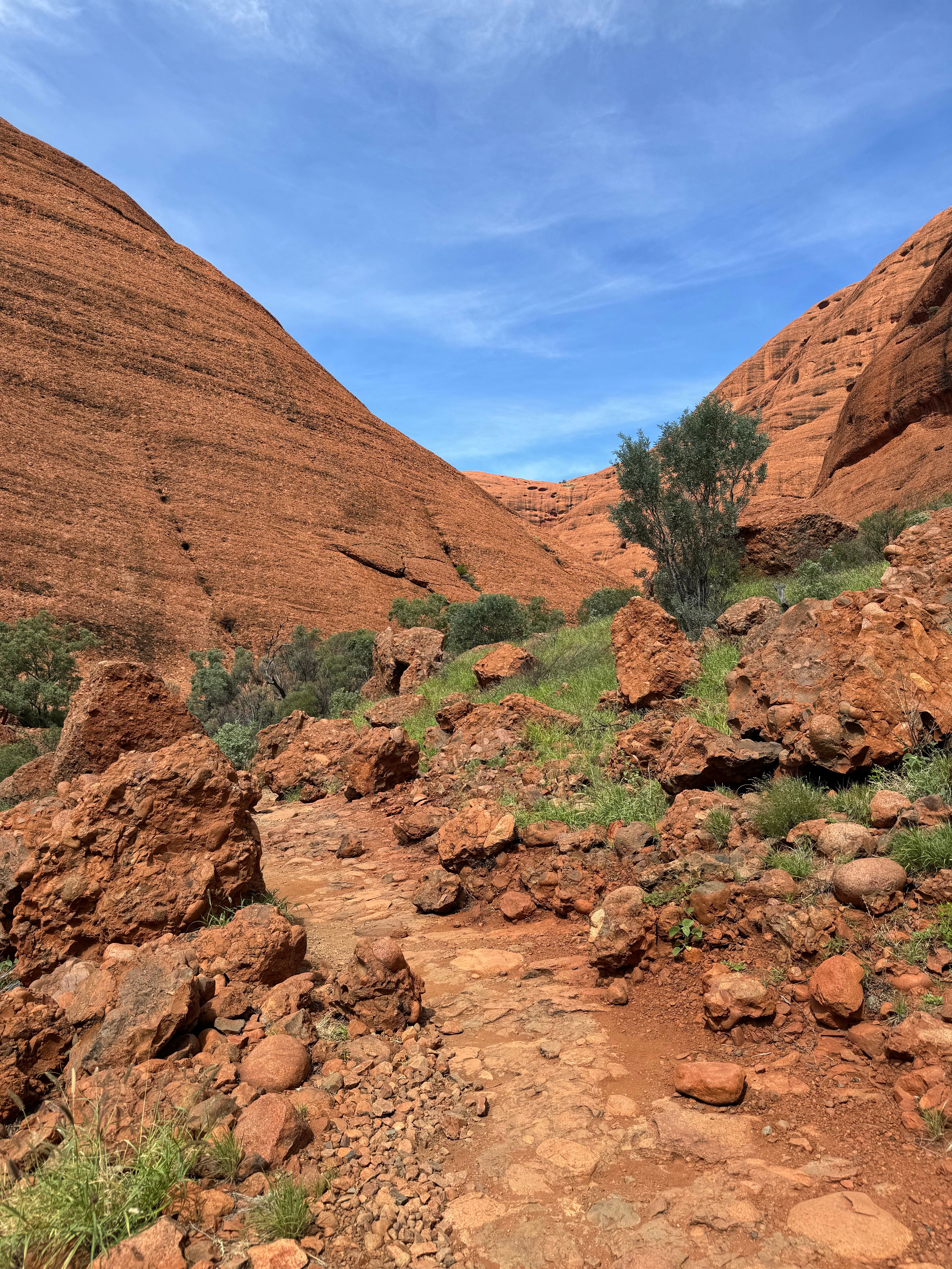 A rough rocky walking trail passes between rounded red-orange canyon walls, scattered boulders and sparse green vegetation under blue sky.