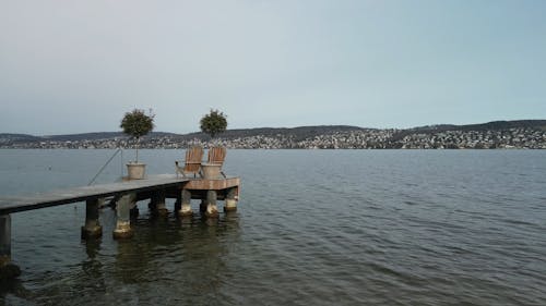 Immagine gratuita di alberi, bagnasciuga, cittadina