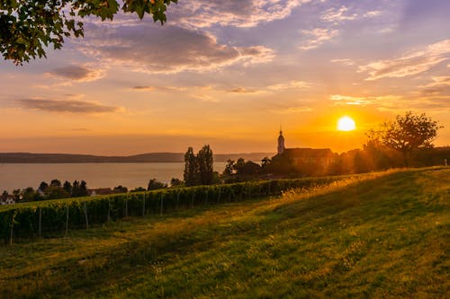 Sunset over the lake and vineyards in switzerland