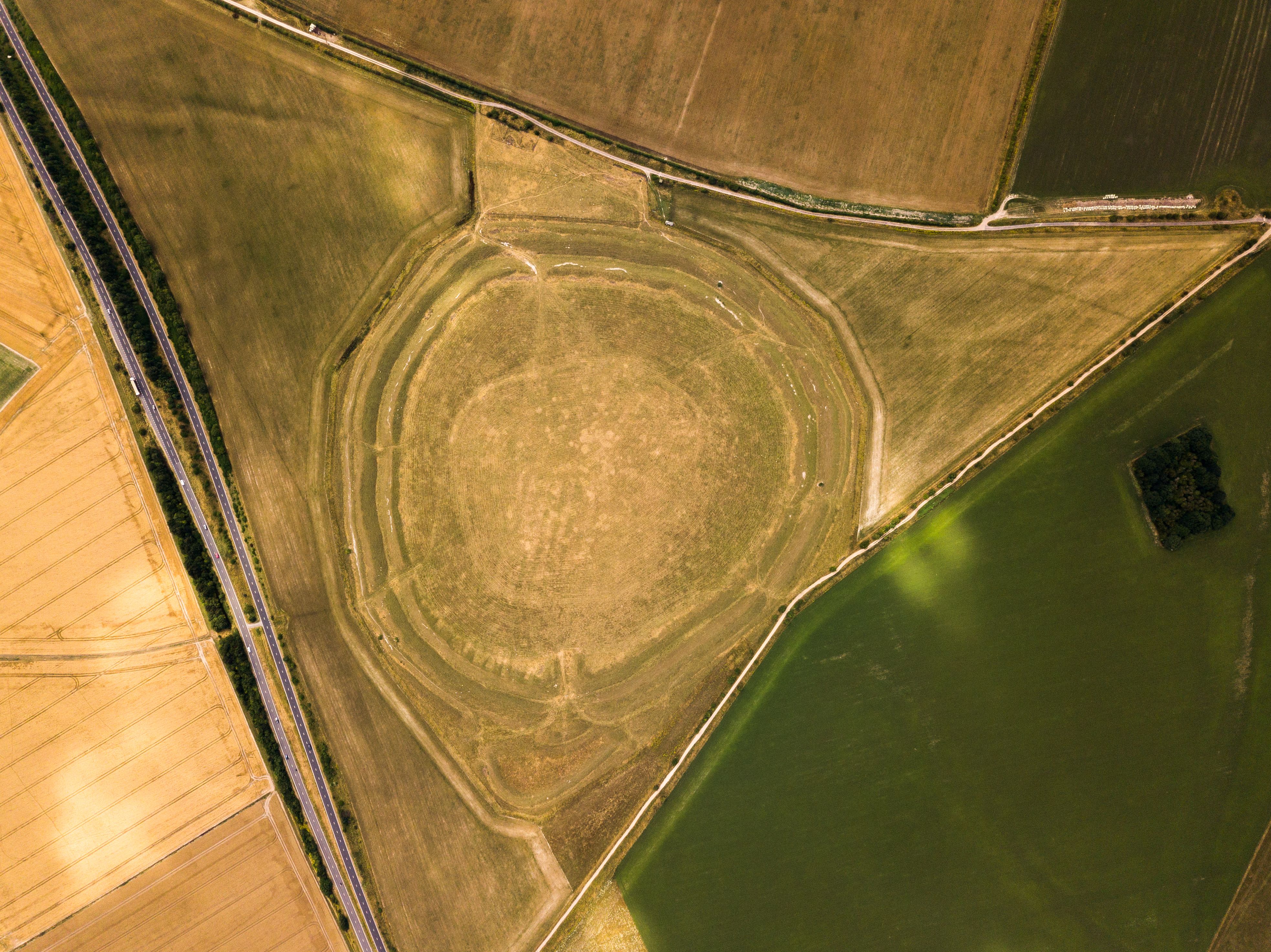 Pewsey Downs National Nature Reserve, Vale of Pewsey