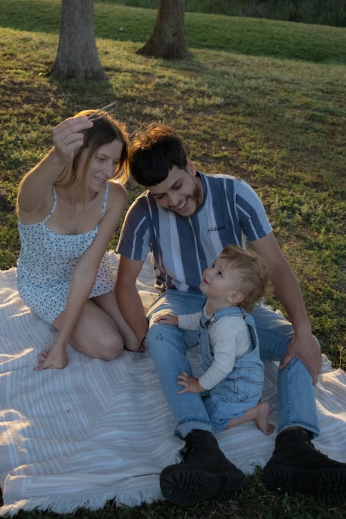 Free A family is sitting on a blanket in the grass Stock Photo