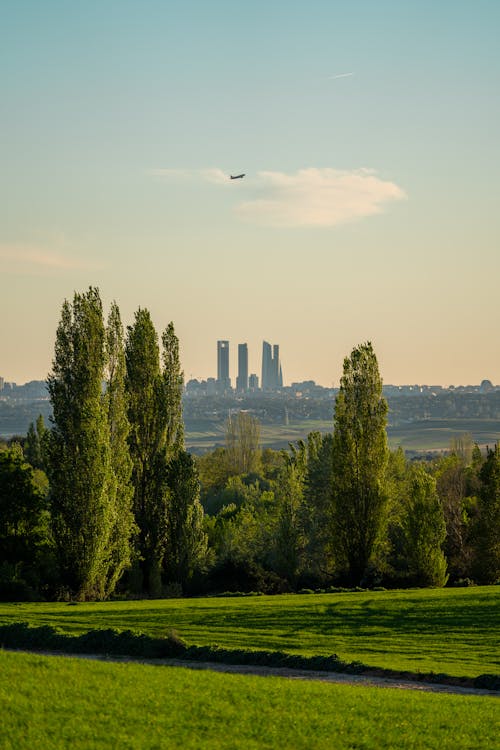 A plane flying over a field with trees and grass