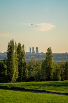 A tranquil landscape with lush greenery and distant skyscrapers under a clear sky.