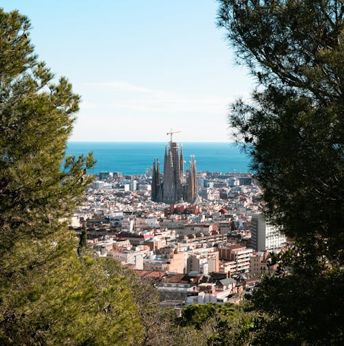 The view of barcelona from a hilltop