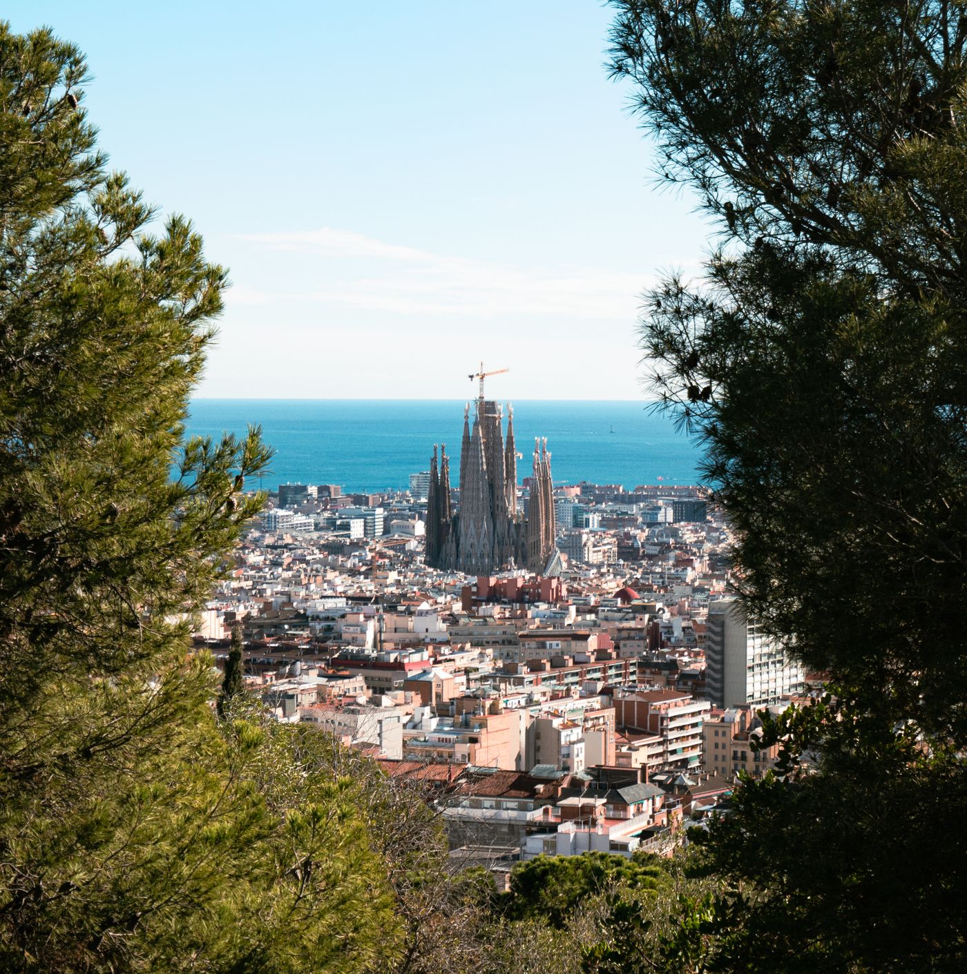 Aerial view of the Sagrada Familia basilica towering over Barcelona's rooftops, framed by green trees, in daylight.