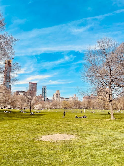 Ingyenes stockfotó central park, Manhattan, New York témában