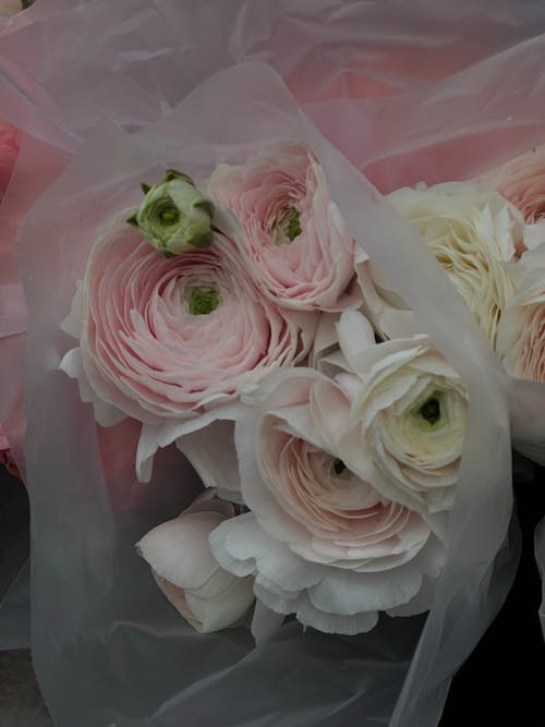 A bouquet of pink and white flowers in plastic wrap