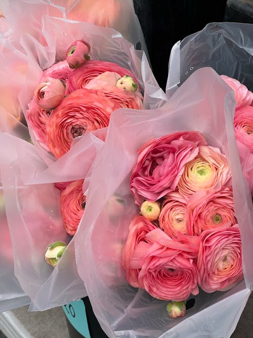 Pink flowers in plastic bags with pink ribbon