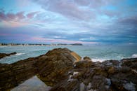 The Pink Flamingo Spiegelclub