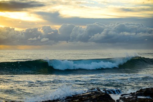 Free Experience a breathtaking sunrise at Currumbin Beach, where golden light dances over crashing waves. Stock Photo