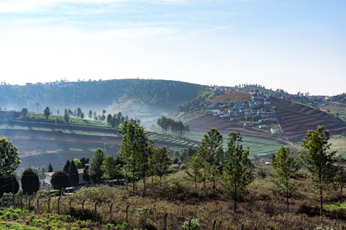 Ooty valley