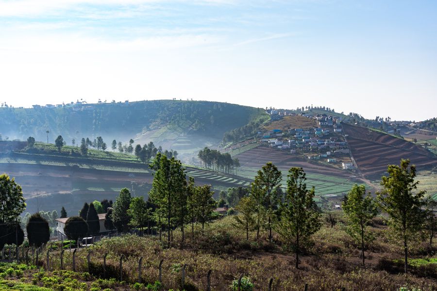 Ooty (Udhagamandalam) photo 5