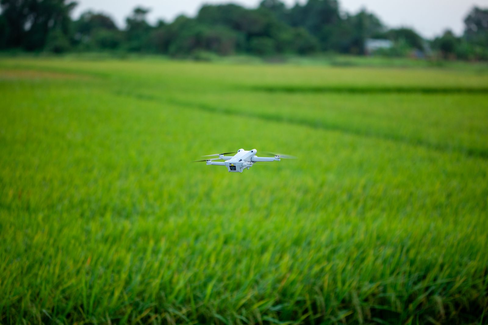 A drone hovering above a vibrant green agricultural field
