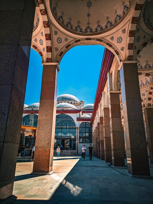 açık, balık gözü, beautiful içeren Ücretsiz stok fotoğraf