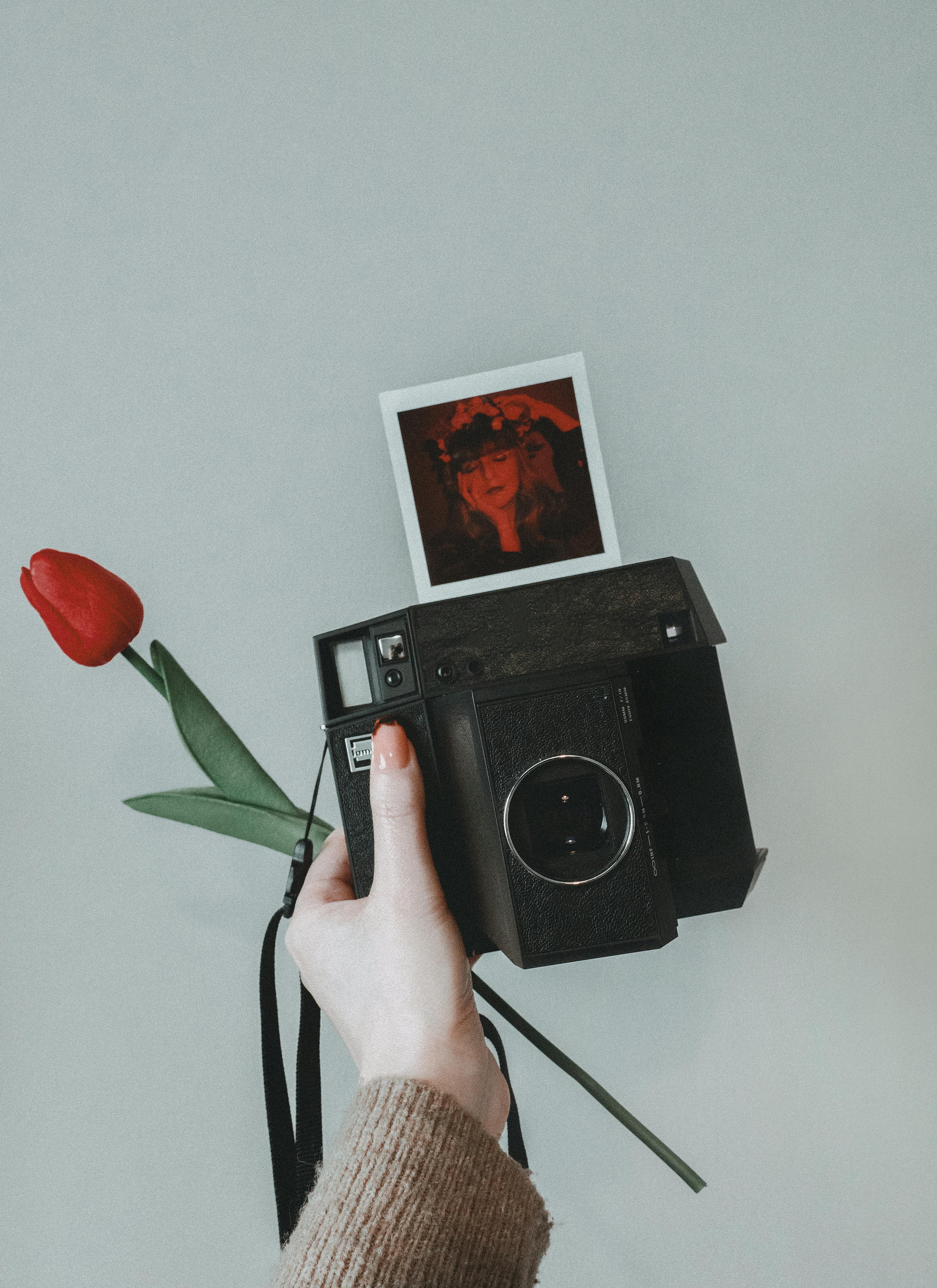 Hand holding vintage camera with tulip, captured polaroid photo included, on white background.