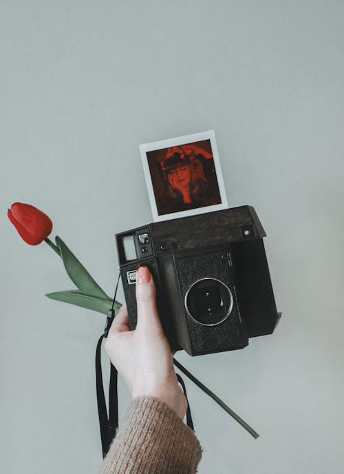 Hand Holding Camera and Tulip