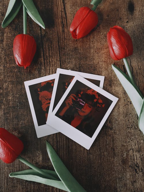 Tulips around Polaroid Pictures
