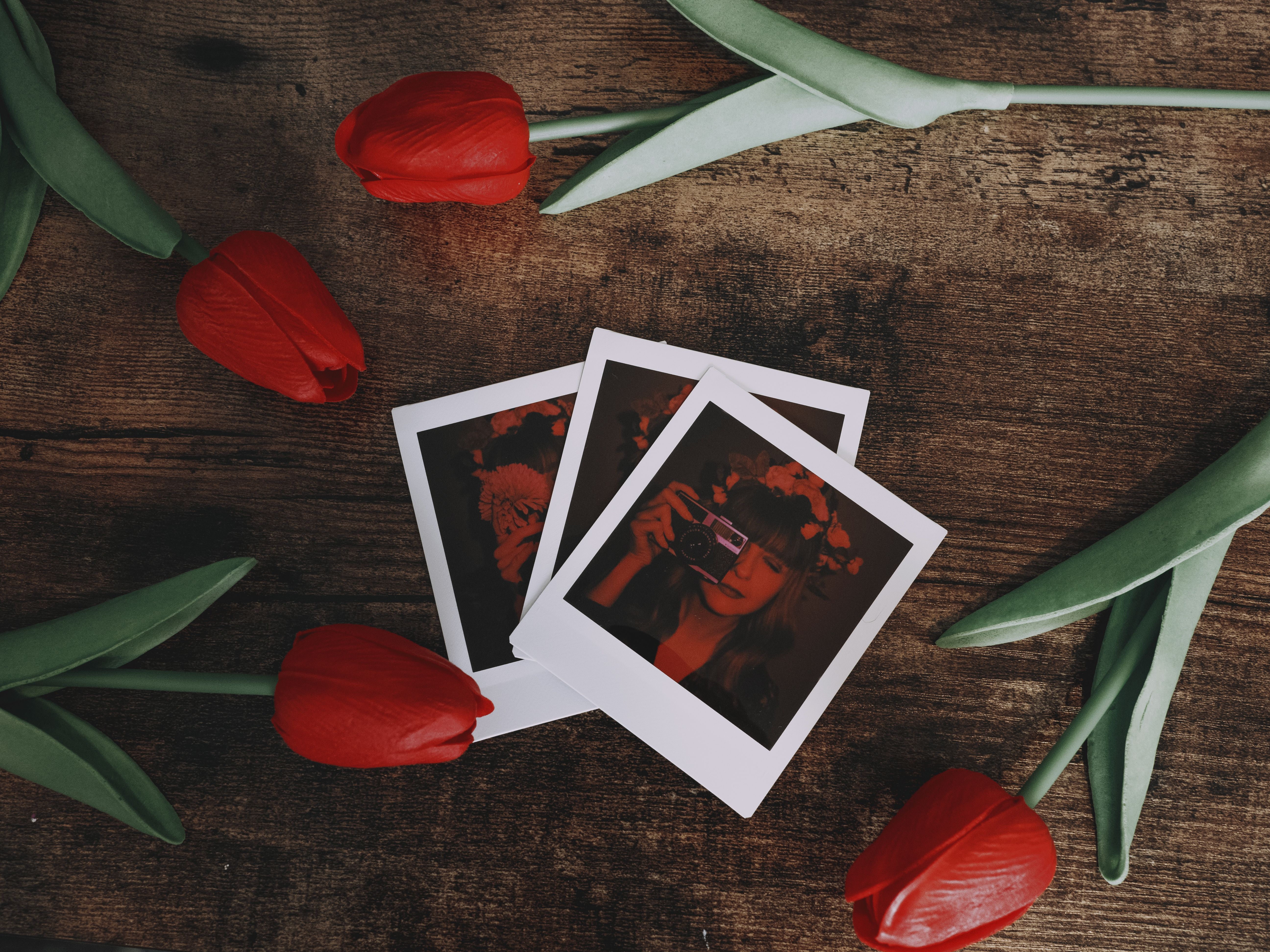Artistic flat lay of polaroid photos surrounded by vivid red tulips on a rustic wooden background.