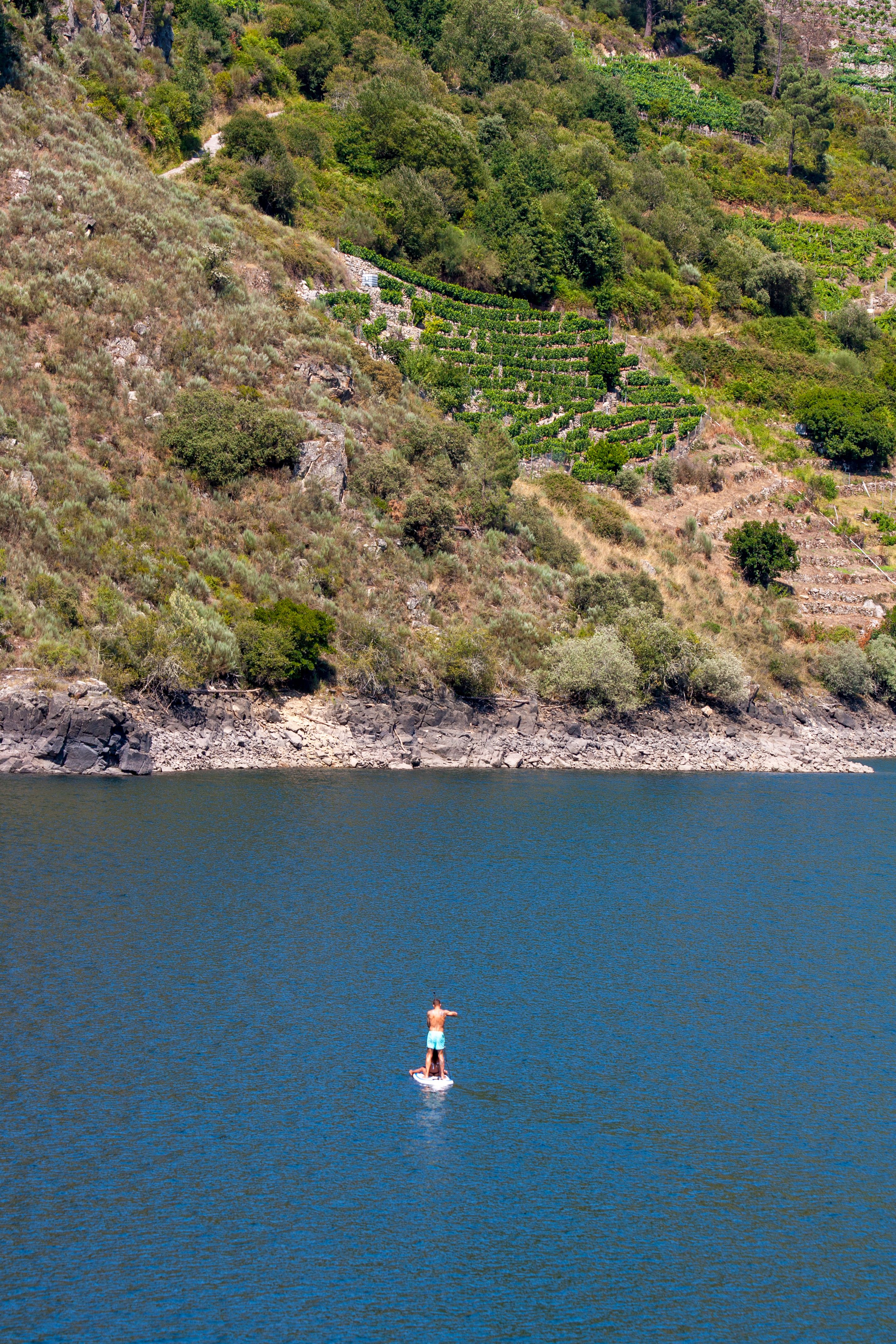 Paddler standing on a paddleboard on a calm lake during a summer water recreation outing