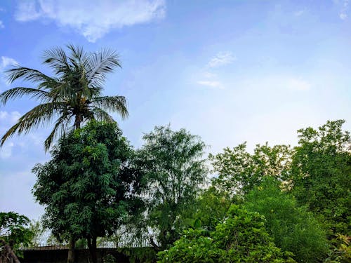 Foto stok gratis berkabut, damai, langit biru