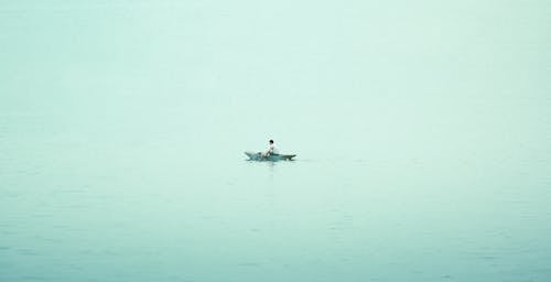 Free A person in a small boat on a calm lake Stock Photo