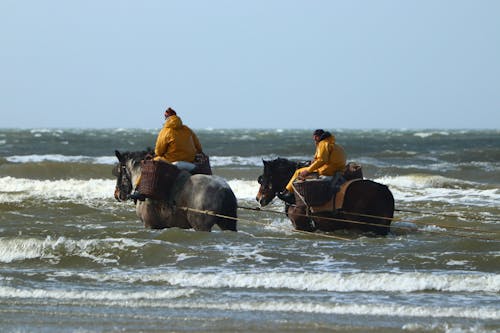 Foto profissional grátis de água, areia, beira mar