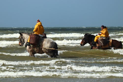 Two people riding horses in the ocean