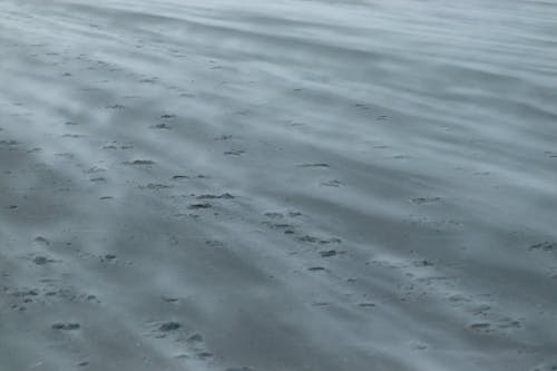 Free stock photo of beach sand, sea shore