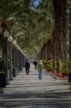 Tranquil urban pathway with palm trees and people walking under a clear sky in Alicante, Spain.