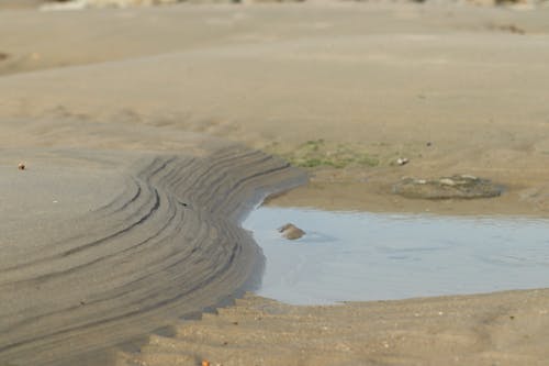 Free stock photo of beach sand