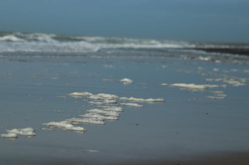 Free stock photo of sea shore