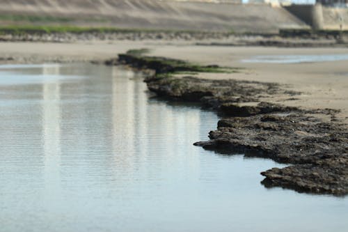 Free stock photo of sea shore