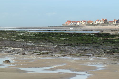 Free stock photo of sea shore