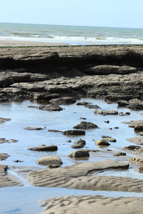 Free stock photo of sea shore