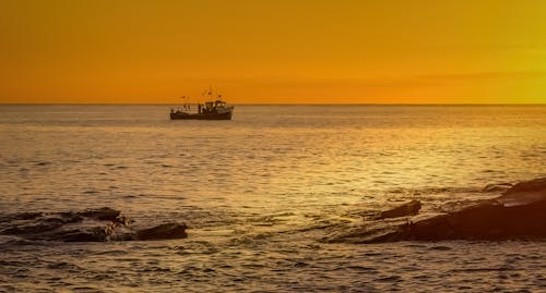 Foto profissional grátis de barco, brilhante, cair da noite