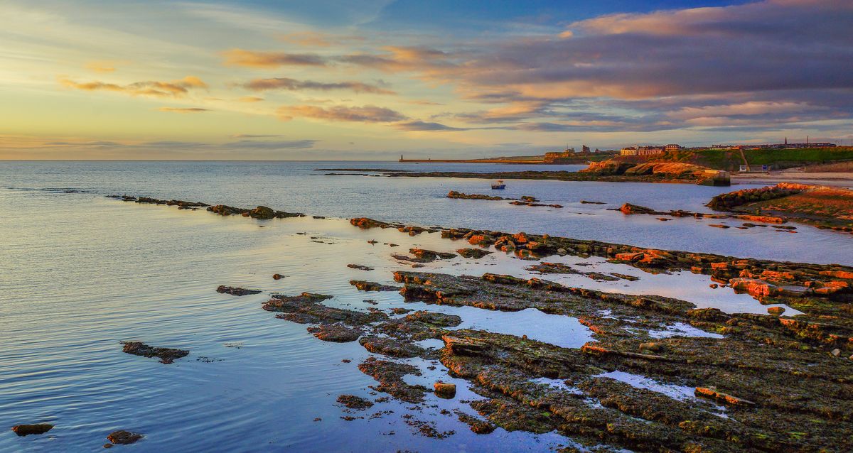 Picturesque rocky Scandinavian coast in golden evening light — the kind of shoreline that defines the Bohuslän west coast