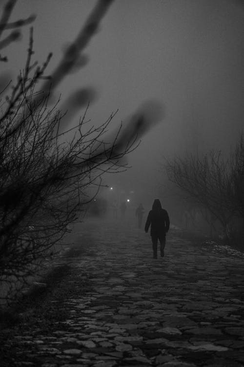 Free A person walking down a path in the fog Stock Photo