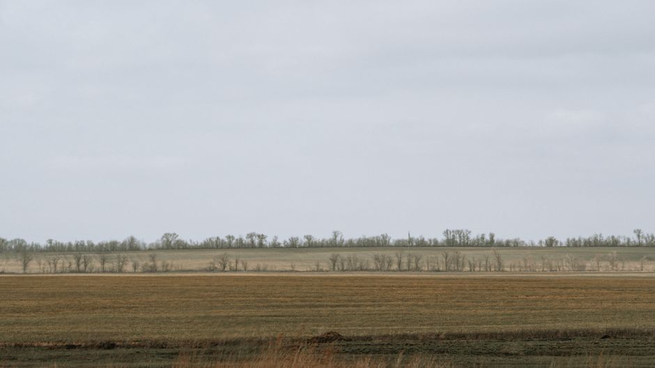 Vast open fields and distant trees under a cloudy sky in Semennoi, Russia.