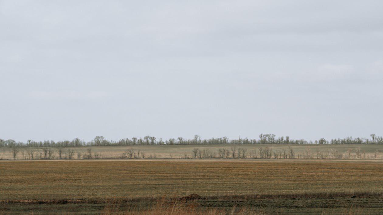 A large field with trees in the distance