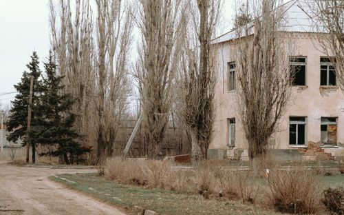 Free An old, abandoned building surrounded by tall poplar trees during fall in rural Russia. Stock Photo
