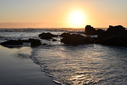 Δωρεάν στοκ φωτογραφιών με port macquarie, βράχους στην ανατολή του ηλίου, παραλία