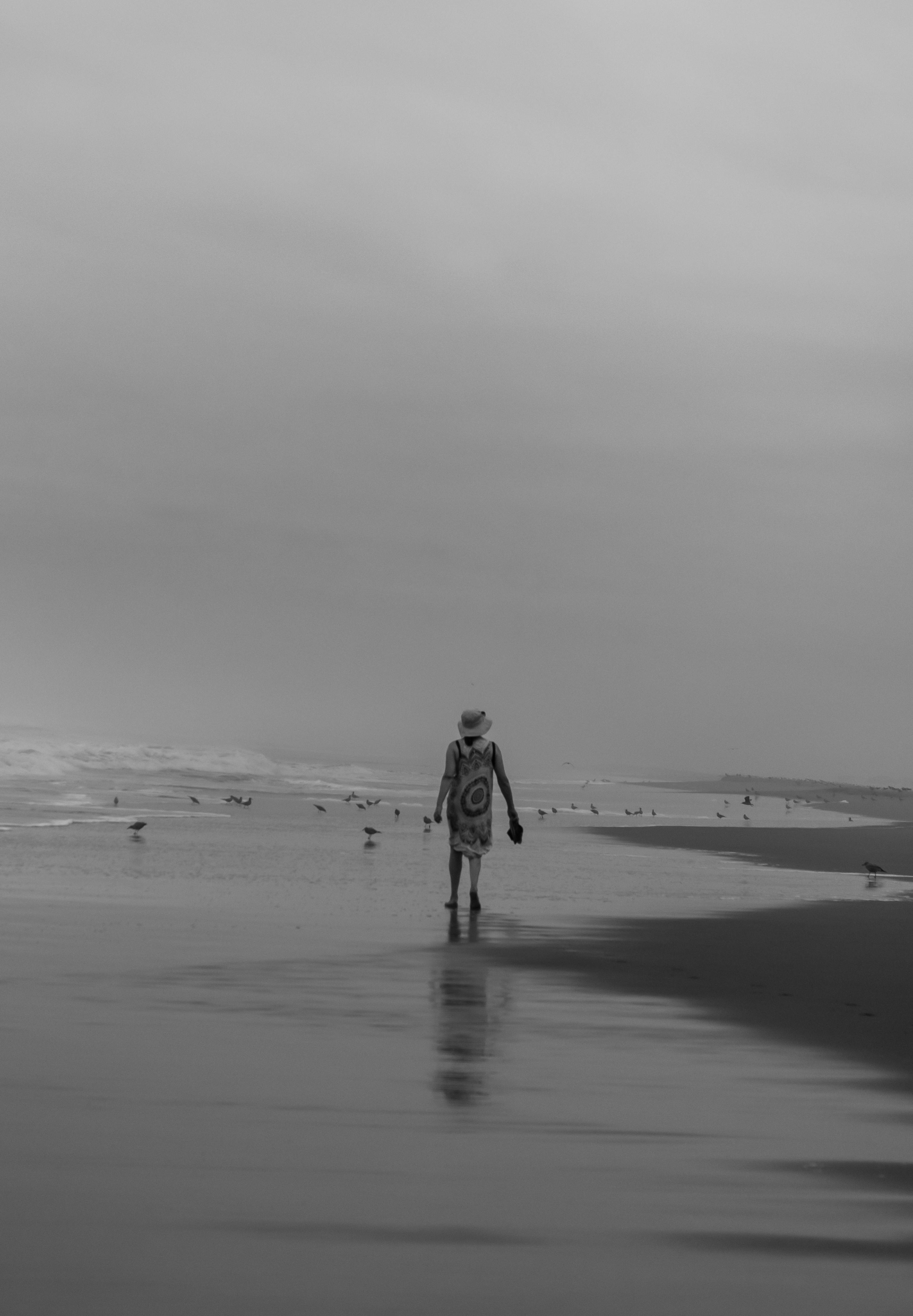 Woman Walking Along Seaside · Free Stock Photo