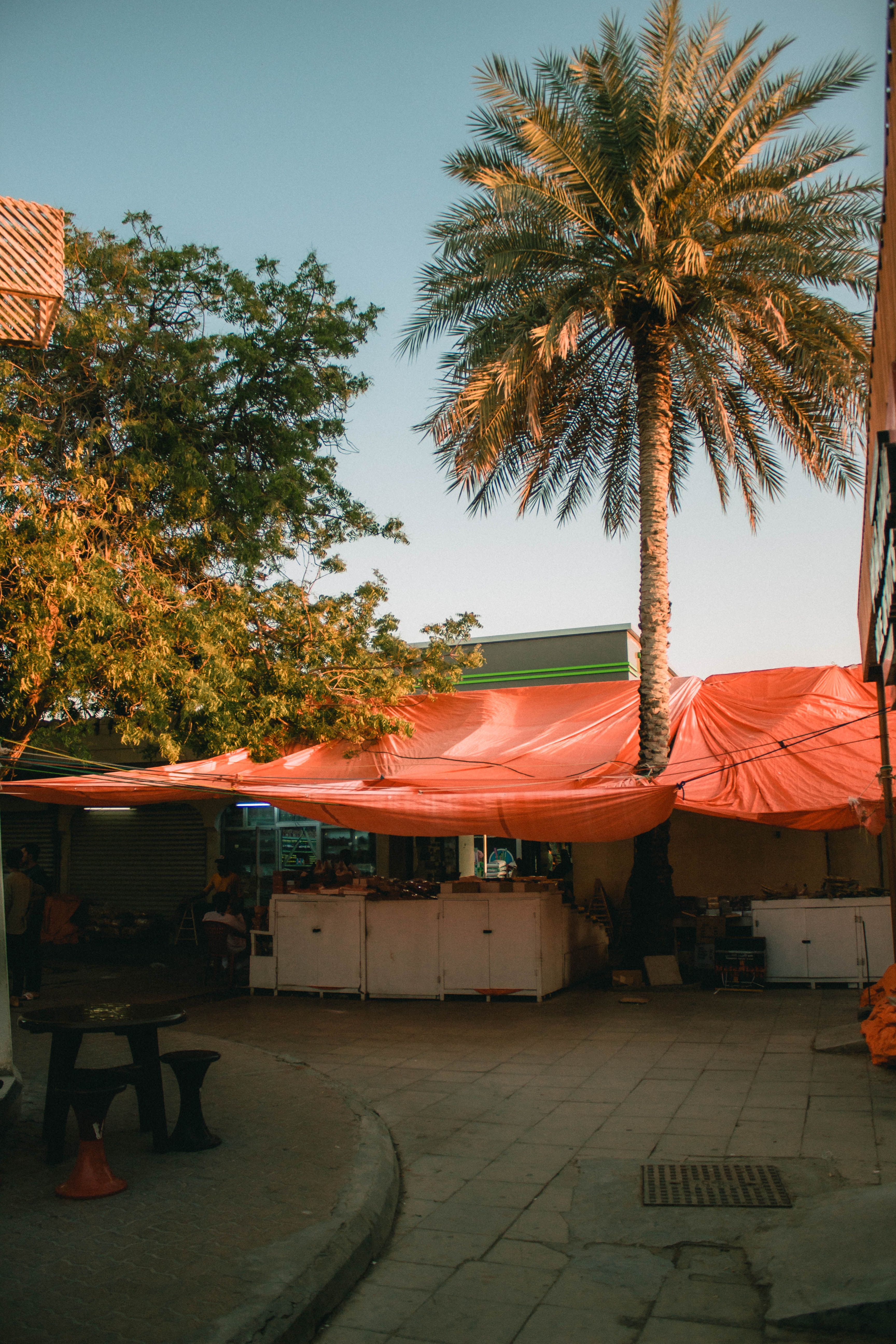 Vibrant marketplace in Muscat, Oman with colorful stalls under palm trees.