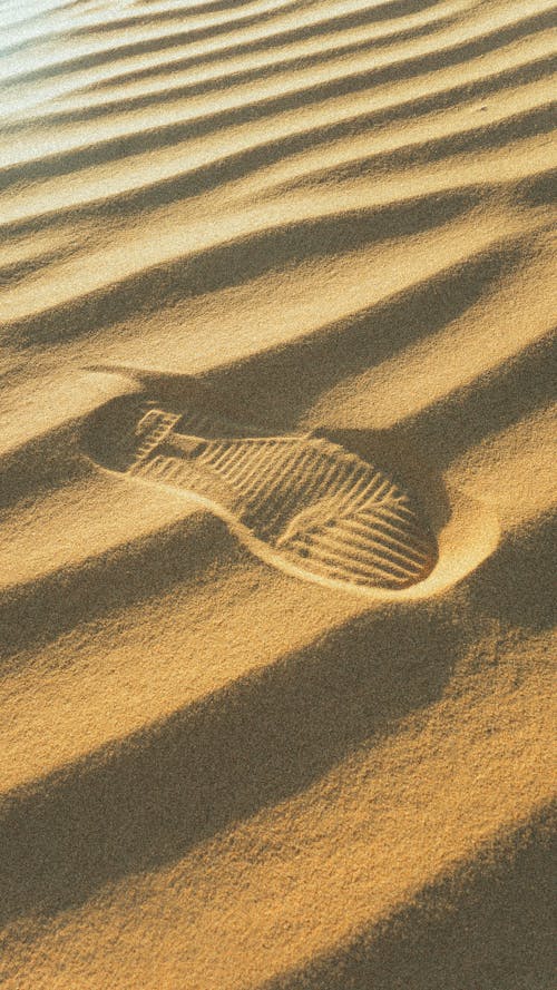 footprint 📸
