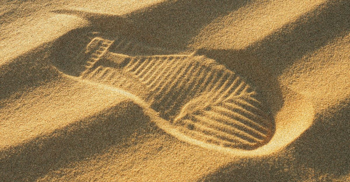 Las 8 industrias que más han reducido su huella ambiental en el último siglo Las 8 industrias que más han reducido su huella ambiental en el último siglo