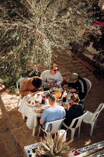 A group of friends enjoy a meal outdoors under a tree, surrounded by a garden.