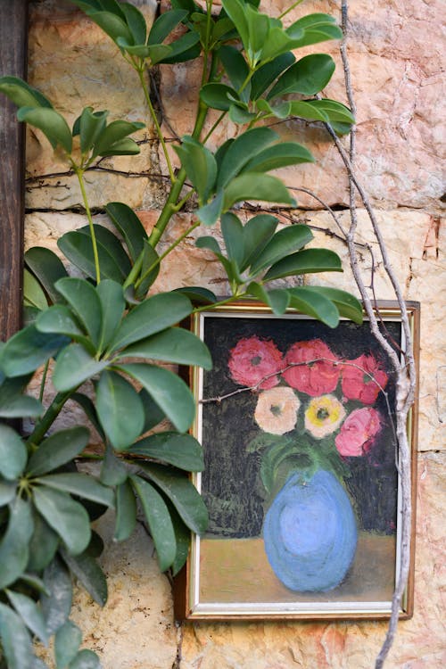 Darmowe zdjęcie z galerii z kwiaty, liście, mur